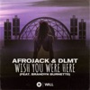 Cover art for Wish You Were Here (feat. Brandyn Burnette) - Single by Afrojack