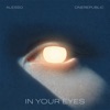 Cover art for In Your Eyes - Single by Alesso