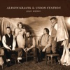 Cover art for Paper Airplane by Alison Krauss & Union Station