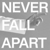 Cover art for Never Fall Apart - Single by Andrew Bird