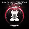 Cover art for New Dawn - Single by Andrew Rayel