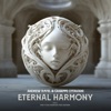 Cover art for Eternal Harmony (FYH 450 Anthem) - Single by Andrew Rayel
