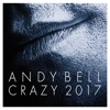 Cover art for Crazy (2017 Remixes) by Andy Bell
