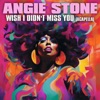 Cover art for Wish I Didn't Miss You (Re-Recorded) [Acapella] - Single by Angie Stone