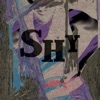Cover art for Shy - Single by Ani DiFranco