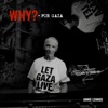 'WHY? - FOR GAZA (Together For Palestine) - Single' by Annie Lennox