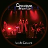 Cover art for Live in Concert by Ann Wilson