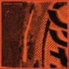 Cover art for Fog FM - Single by Anthony Naples