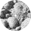 Cover art for Smacks - EP by Anthony Naples