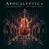 Cover art for Ruska (Live in Helsinki St. John's Church) - Single by Apocalyptica