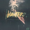 Cover art for Wanted (feat. Nevelle Viracocha) - Single by AraabMuzik