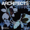 Cover art for Broken Mirror / Everything Ends (Daniel Joseph Remix) - Single by Architects