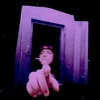 'THE DOOR - Single' by Ariel Pink