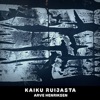 Cover art for KAIKU RUIJASTA by Arve Henriksen