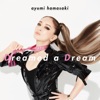 Cover art for Dreamed a Dream - Single by Ayumi Hamasaki