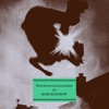 Cover art for Polymuscalsaccharide - Single by Babe Rainbow