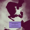 Cover art for Waterfall - Single by Babe Rainbow