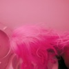 Cover art for Stonewall - Single by Backxwash