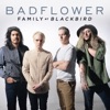Cover art for Family (Blackbird) - Single by Badflower