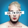 Cover art for OK, I'M SICK by Badflower