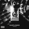 'Temper - EP' by Badflower