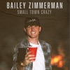 Cover art for Small Town Crazy - Single by Bailey Zimmerman