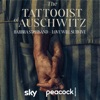 Cover art for Love Will Survive (from The Tattooist of Auschwitz) - Single by Barbra Streisand