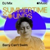 Cover art for Summertime Sounds 2025 (DJ Mix) by Barry Can't Swim