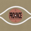 Cover art for Province - Single by Bartees Strange