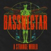 Cover art for A Strange World - Single by Bassnectar