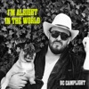 Cover art for I'm Alright In the World - Single by BC Camplight