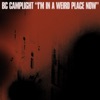 Cover art for I'm In a Weird Place Now (Strong and Stable Mix) - Single by BC Camplight