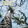 Cover art for Wait a While - Single by Beddy Rays