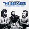 Cover art for How Can You Mend A Broken Heart by Bee Gees
