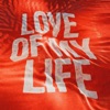 Cover art for Love Of My Life (Live) - Single by Bethel Music