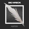 Cover art for Albatross (Anniversary Edition) by Big Wreck