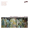 'In My Dreams' by Bill Frisell