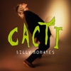 Cover art for CACTI by Billy Nomates