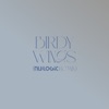 Cover art for Wings (Nu:Logic Remix) [Edit] - Single by Birdy