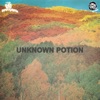 Cover art for Unknown Potion - Single by Black Moth Super Rainbow