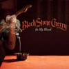 Cover art for In My Blood - Single by Black Stone Cherry