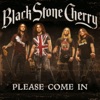 Cover art for Please Come In (Radio Edit) - Single by Black Stone Cherry