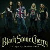 Cover art for Things My Father Said (Gold Mix) - Single by Black Stone Cherry
