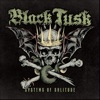 'Systems of Solitude - Single' by Black Tusk