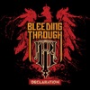 Cover art for Declaration by Bleeding Through