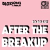 Cover art for To Do List (After The Breakup) [feat. Findlay] - Single by Blossoms
