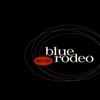 Cover art for Blue Rodeo 1987-1993 by Blue Rodeo