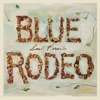 Cover art for Small Miracles by Blue Rodeo