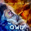 Cover art for The Owl - EP by Bombino