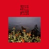 Cover art for I Made a Place by Bonnie "Prince" Billy